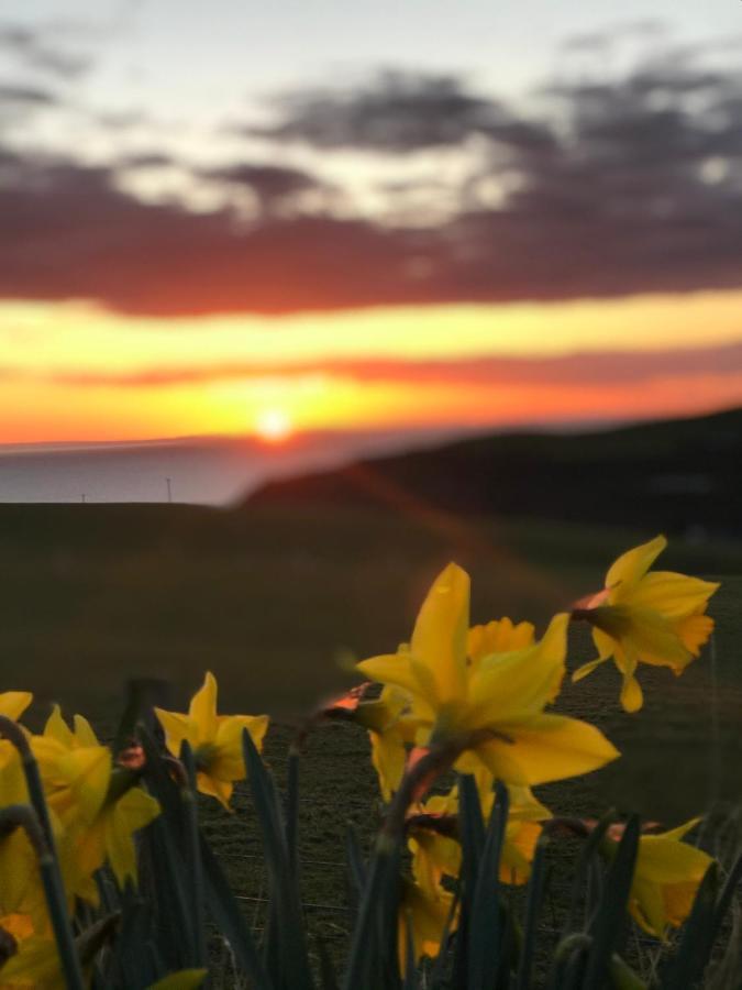 Bunnahabhain 5 - Farm Stay - Stunning Sea And Rural Views Stranraer Exterior foto